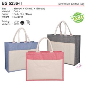 Cotton bag with Pocket (BS5236-II)