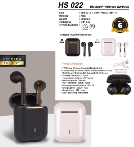 Wireless Earbuds (HS022)