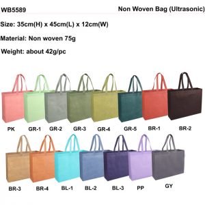 A3 size Non Woven Bag(WB5589)
