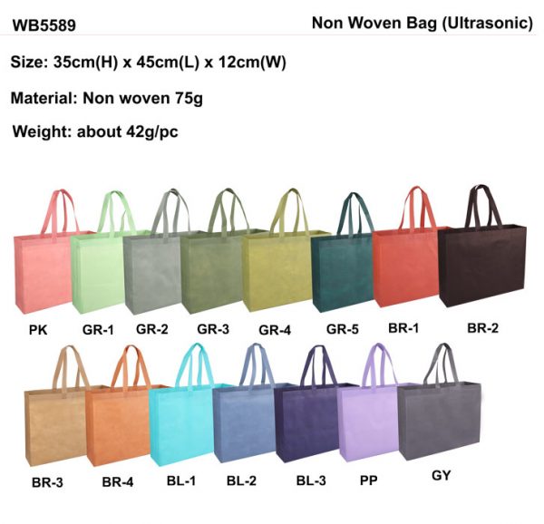 A3 size Non Woven Bag(WB5589)